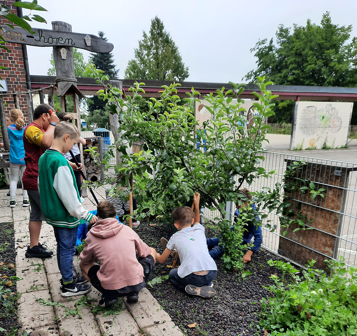 Bild der Beete vom Schulgarten der Haldenschule Rommelshausen