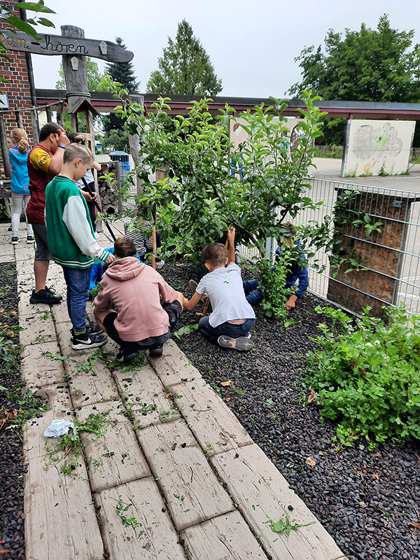 Bild 11: Klassenbeete 2021 Haldenschule Rommelshausen