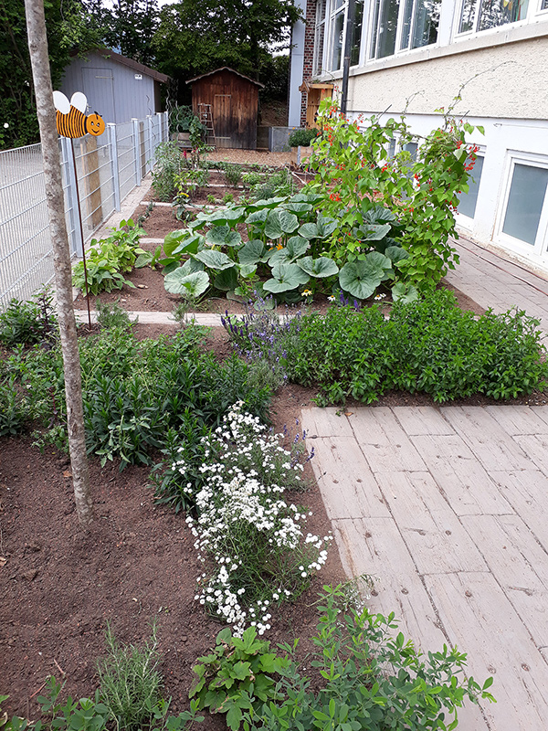 Bild 14: Klassenbeete Haldenschule Rommelshausen